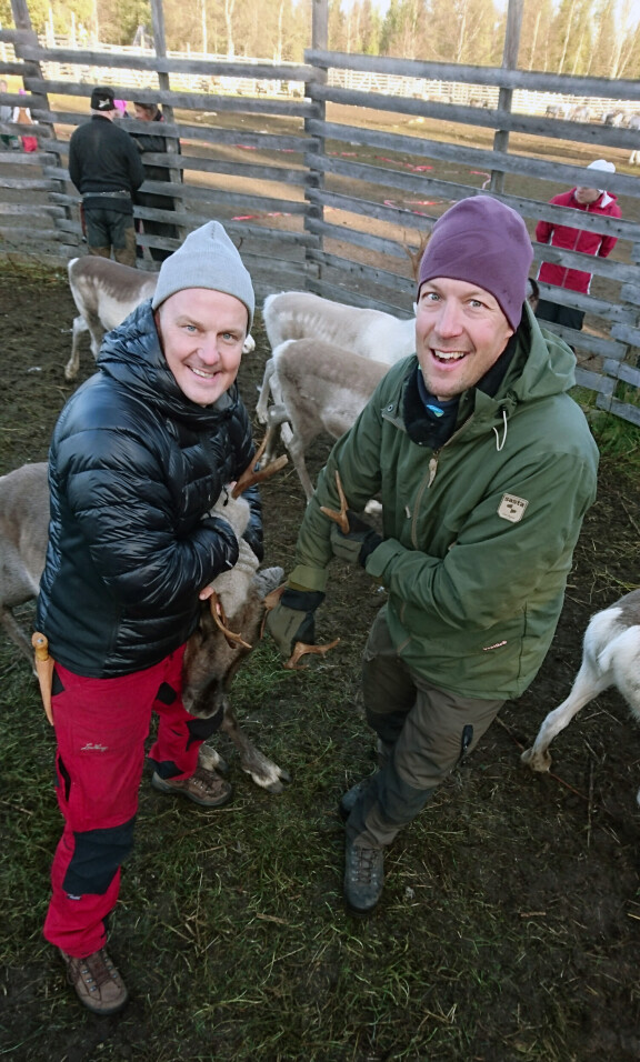 Peltsi pääsee mukaan myös porperotukseen. Kuvassa Peltsi ja keittiömestari Tero Mäntykangas.