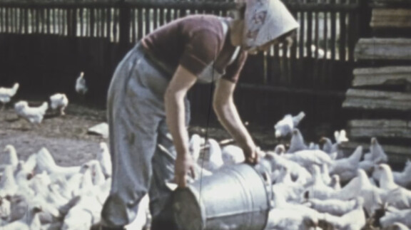 Pieneläinkasvatus oli DDR:ssä kansantaloudellisesta tärkeää.