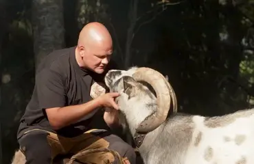 Seppo-vuohesta tuli julkkis – näin se hurmasi Eila-rouvansa