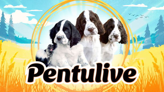 Pentulive