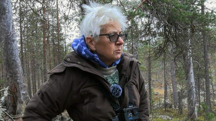 Näkökulma: Alone Suomi -Liisa on sankari