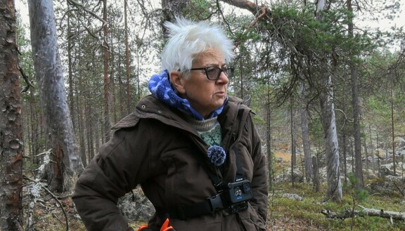 Teräväsanainen Liisa voisi kuvitella osallistuvansa tositelevisioon toistekin.