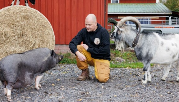 Lipponen ja Seppo saavat nuhteita varastelustaan.
