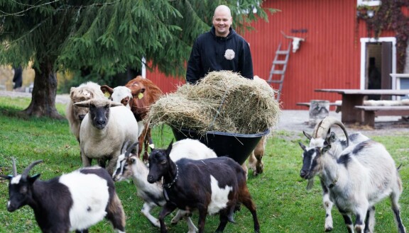 Joni toteutti unelmansa eläintilasta kahdeksan vuotta sitten.