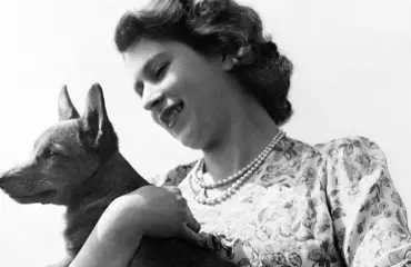 Muutto edessä – miten käy kuningatar Elisabetin corgien?