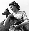 Elisabet tunnettiin rakkaudestaan koiriin ja eritoten corgeihin. Valokuva vuodelta 1950.