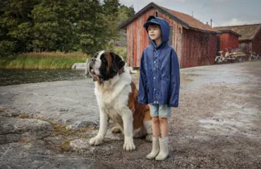 Katsojilta suorat sanat klassikkosarjan uudesta versiosta