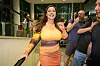 Kelly Brook pelmahti Brisbanen lentoasemalle 9. marraskuuta, ja mediahärdelli oli valmis.
