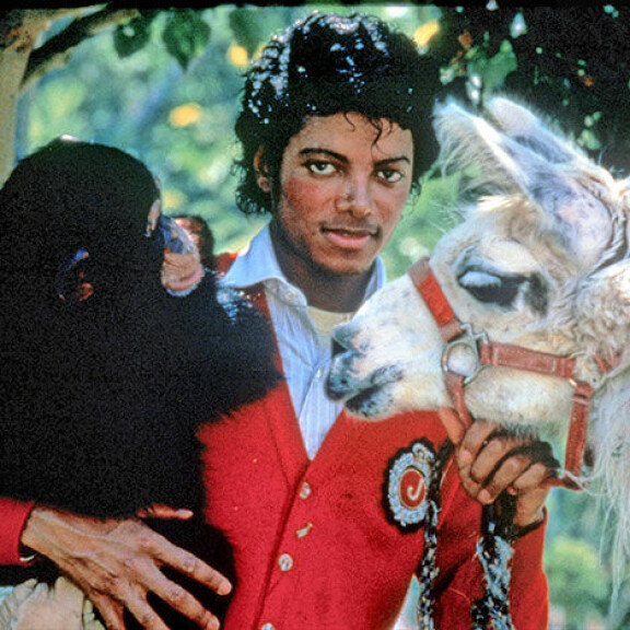 Stripparielämää, kauneusleikkauksia ja kimppakivaa: Tällainen on heinäkuun alun suoratoistopalvelujen tarjonta - katso listaus S