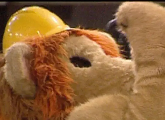 Muistatko Big Brother -leijonan? Tekee yllättävän paluun!