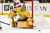 Nashville Predatorsin maalivahti Juuse Saros on voittanut Leijonissa kaksi MM-hopeaa (2014, 2016) ja nuorten maailmanmestaruuden (2014).