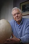 8. toukokuuta 2026 syntynyt Sir David Attenborough sai vakituisen työpaikan BBC:ltä vuonna 1952. Jo Ashman/BBC.