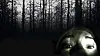 The Blair Witch Project