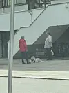 Timo muistaa sunnuntain kohtaamisen labradorinnoutajan ja sen omistajan kanssa.
