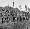 Kuva sotakoirien toipilaskodista vuodelta 1944. Viiden koira vasemmalta on airedalenterrieri.