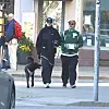Wilma Murto veti Keja-koiraa perässään, kun tuore sulho kantoi hyppysissään kahvilasta napattuja eväitä Helsingin Kalliossa.