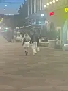 Sydänkäpyset olivat sonnustautuneet toisiinsa sointuviin asuihin.
