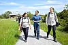Tästä punkit tykkäävät: tummat housut, joilta niitä ei erota, käsivarret, kaula ja niska paljaina, hiukset auki, housunlahkeet suojaamatta niiden ylle nousevilla sukilla tai korkeavartisilla kengillä. Heinikkoa ja kosteikkoa ja niiden keskellä kulkevat polut. Sen sijaan kiinni olevat hiukset ja vaalea paita ovat jo parempi, sekä tietysti mahdollisimman leveä ja mieluusti kivetty kulkutie.