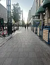 Tiuku repi kuvanottohetkellä aamuneljää, ja kaksin auringonnousuun kävelevässä parissa onkin jotain elokuvallista.