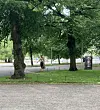 Henkka marssi varmoin ottein tuttuun puistoon, jossa hän pitää yleisen tiedon mukaan hoviaan.