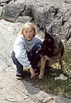 Paavo Westerberg ja Jami-koira tähdittivät 1980-luvulla nuorten seikkailusarjaa Susikoira Roi.