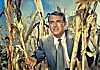 Cary Grant Alfred Hitchcockin elokuvassa Vaarallinen romanssi ( 1959).