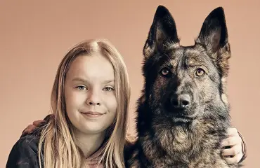 Susikoira Roista tulee uusi elokuvaversio – pääosassa Tipi-koira