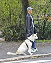Paparazzi bongasi Kiiran ja tämän Pika-koiran kävelylenkiltä syksyllä 2024.