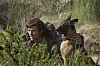 Jacob Elordi elokuvassa The Dog Stars.