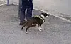 Lennu ehti tehdä kansaan syvän vaikutuksen julkisen uransa aikana.