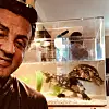 Sylvester Stallone ja kilpikonnat Cuff ja LInk
