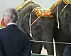 Kuningas elefanttiensa kanssa vuonna 2004.