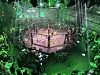 Beazt Fight järjestettiin Tallinnan Kulttuurikattilassa 13. kesäkuuta 2026.