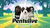 Pentulive 2026