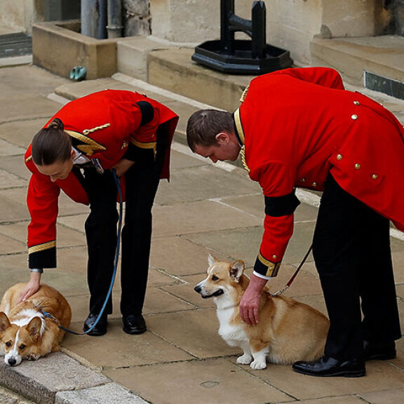 Sandy ja Muick osallistuivat kuningatar Elisabetin hautajaissaattueeseen. Sandy ja Muick osallistuivat kuningatar Elisabetin hautajaissaattueeseen.
