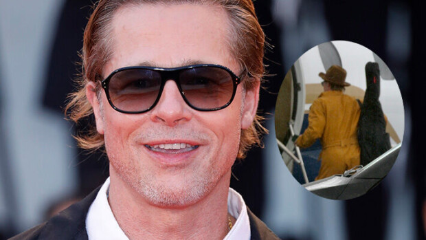 Salakuvat! Sadekuuron yllättämä Brad Pitt kapusi tyylikkäänä koneeseen - huomasitko tämän yksityiskohdan? Brad Pitt