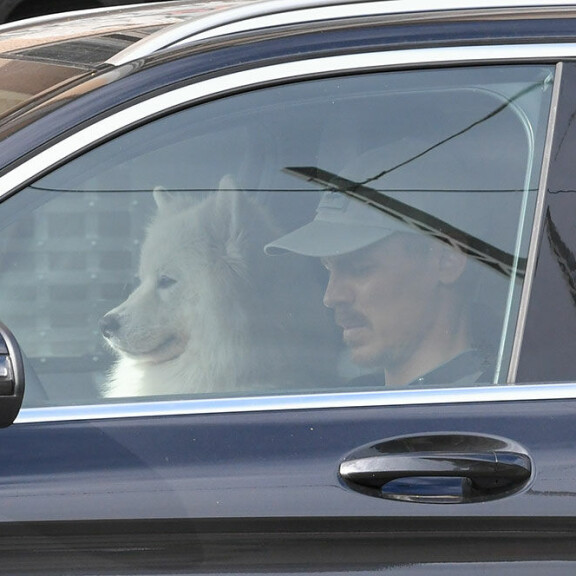 Taiga ja Jasper - kuin kaksi marjaa. Jasper pääkkönen