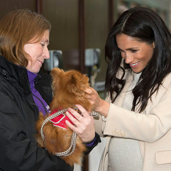 Englannissa asuessaan Meghan vieraili hyväntekeväisyyskohteessaan tervehtimässä Foxy-koiraa. Sussexin herttuatar Meghan