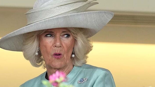 Herttuatar Camilla repäisi! Yllätti faninsa vitsillä herttuatar camilla