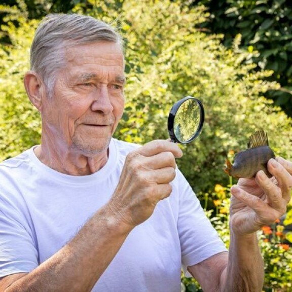 Matti käyttää suurenuslasia apunaan, kun hän tutkii ahvenen selkäevän sääsaloja. Matti käyttää suurenuslasia apunaan, kun hän tutkii ahvenen selkäevän sääsaloja.