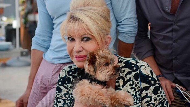 Miljoonat koiralle? Ivana Trumpin jättiperintö puhuttaa ivana trump