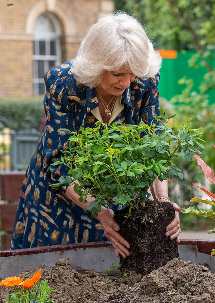 Puutarhanhoito on yksi Charlesin ja Camillan yhteisistä harrastuksista. Cornwallin herttuatar Camilla