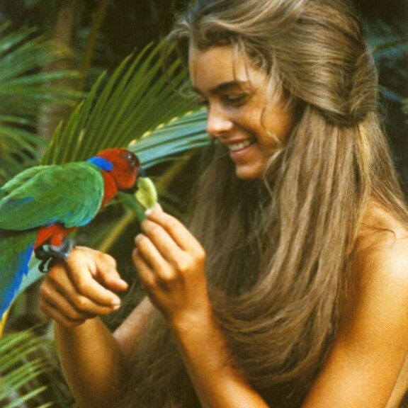 Brookesta tuli elokuvan myötä maailmanluokan suuri tähti, vaikka hän nappasikin roolistaan historian ensimmäisen huonoimman naispääosan Razzie-palkinnon. Brooke Shields