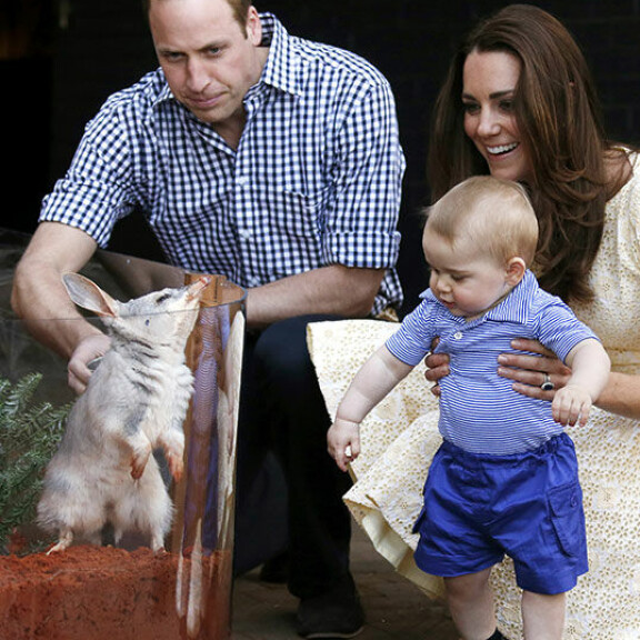 Onnea 40-vuotiaalle Williamille! Tiedätkö, mikä on prinssin suosikkiherkku, mitä hän tienaa ja mihin hömppäsarjaan on koukussa? Cambridgen herttuapari William ja Catherine sekä prinssi George