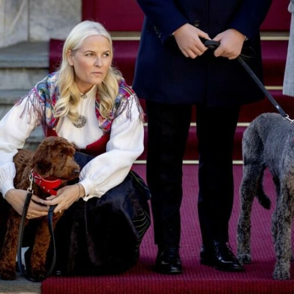 Koirilla oli kaulassaan Norjan lipun väriset koristenauhat. mette-marit