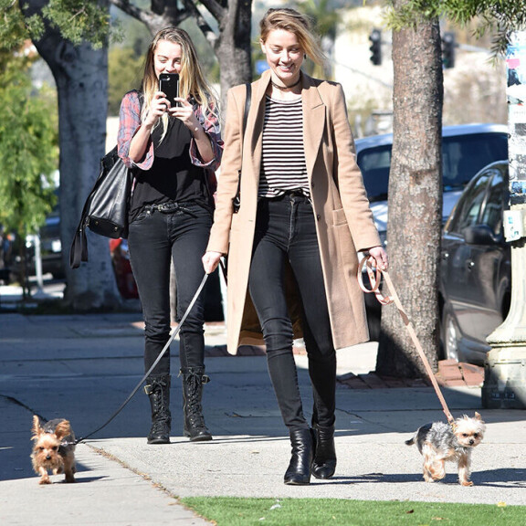 Johnny tiesi mikä kokoisia jätöksiä Amberin koirista Pistolista ja Boosta syntyy. Amber Heard