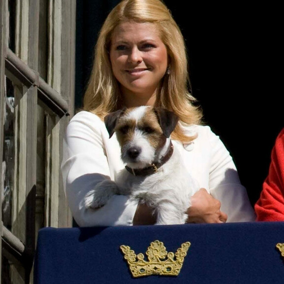 Zorro oli edustuskelpoinen koira. Vuonna 2009 se pääsi tervehtimään kansaa kuninkaanlinnan parvekkeelle. Ruotsin prinsessa Madeleine ja Zorro