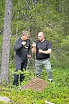 Gordon Ramsayn makuseikkailut 253 000 katsojaa