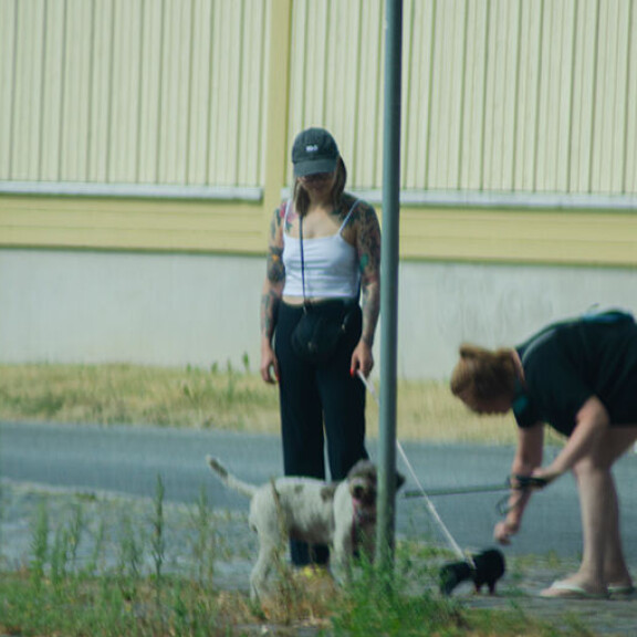 Pienikokoinen Matti teki urheasti tuttavuutta vastaantulijoihin. Veronica Verho ja Matti