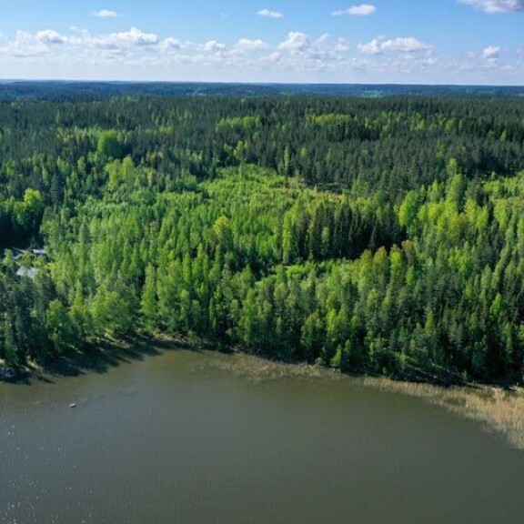 Tuija osti yli 14 hehtaarin metsätontin, jolle ei saa rakentaa.Ilmeisesti hän tekikin hankinnan sijoitusmielessä. Tuija osti yli 14 hehtaarin metsätontin, jolle ei saa rakentaa.Ilmeisesti hän tekikin hankinnan sijoitusmielessä.